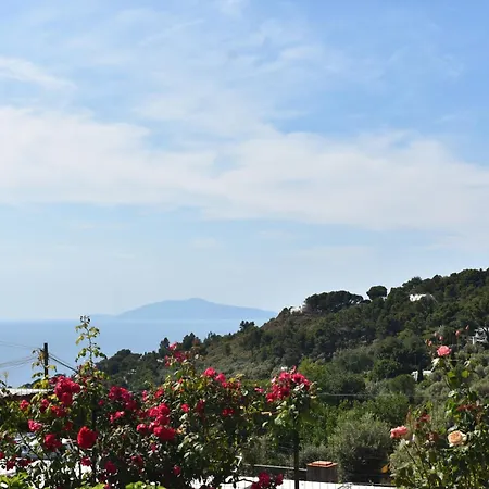 Bed & Breakfast Cristina 4*