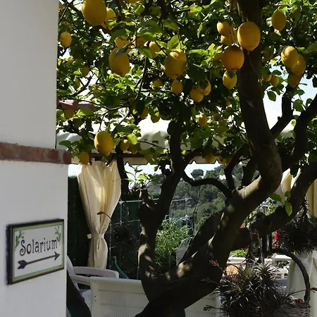 Bed & Breakfast Cristina