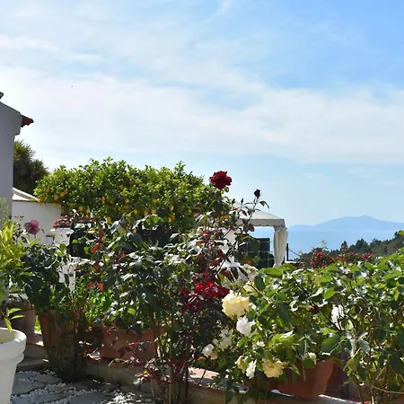 Cristina Bed & Breakfast Anacapri (Isola di Capri)