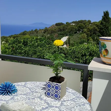 Bed & Breakfast Cristina